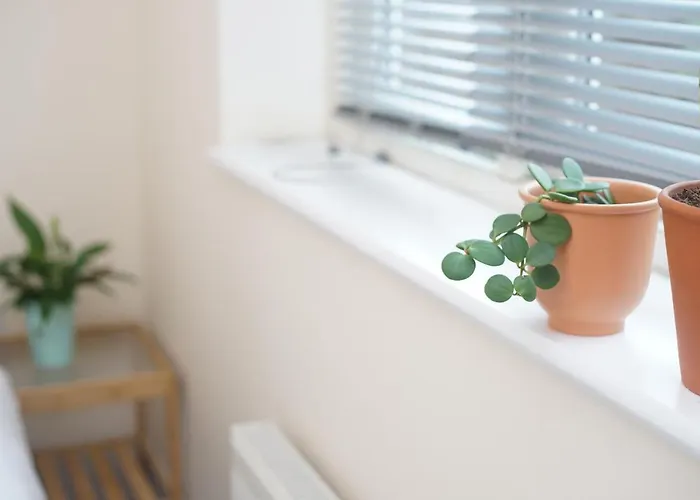 Готель Bristol Bnb 3*